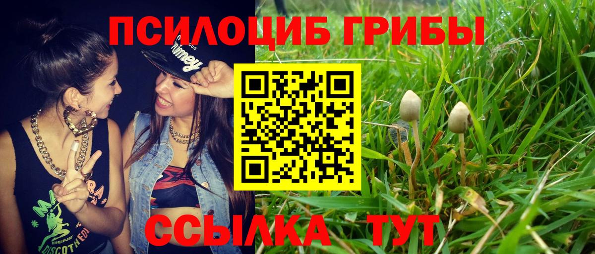 Псилоцибиновые грибы MAGIC MUSHROOMS  Вход с VPN  Галлюциногенные грибы GOLDEN TEACHER  Екатеринбург 